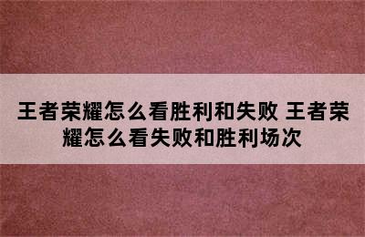 王者荣耀怎么看胜利和失败 王者荣耀怎么看失败和胜利场次